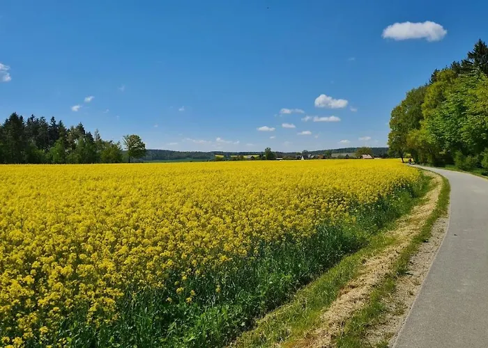 Appartamento Fleischer